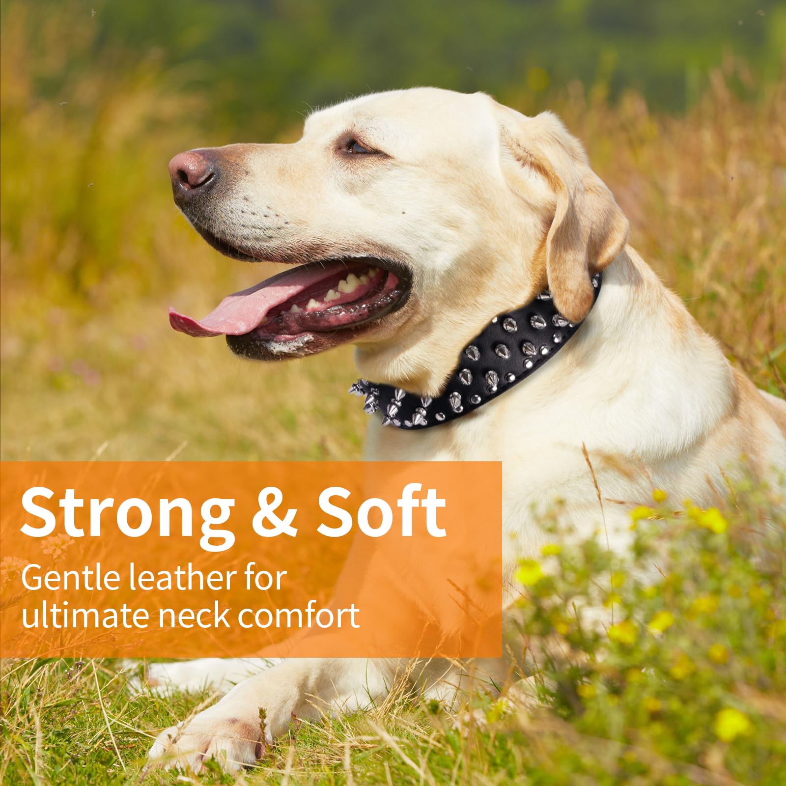 Cuero sintético duradero de Epesiri, ideal para perros activos.