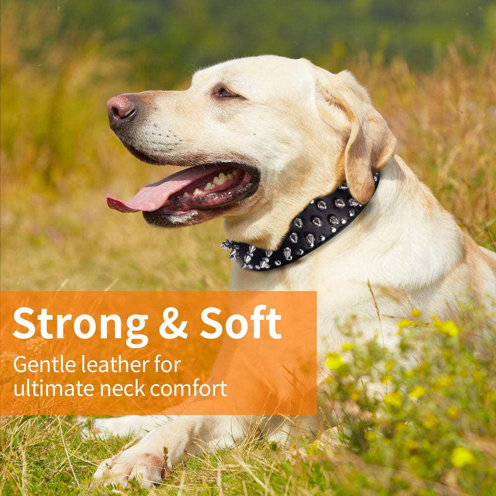 Cuero sintético duradero de Epesiri, ideal para perros activos.