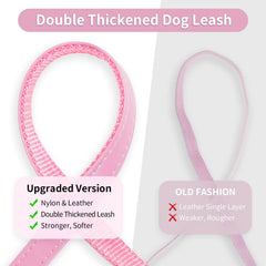 Collar Epesiri de diseño moderno para mascotas.