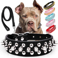 Collar Epesiri para perro mediano con correa incluida, cómodo y versátil.