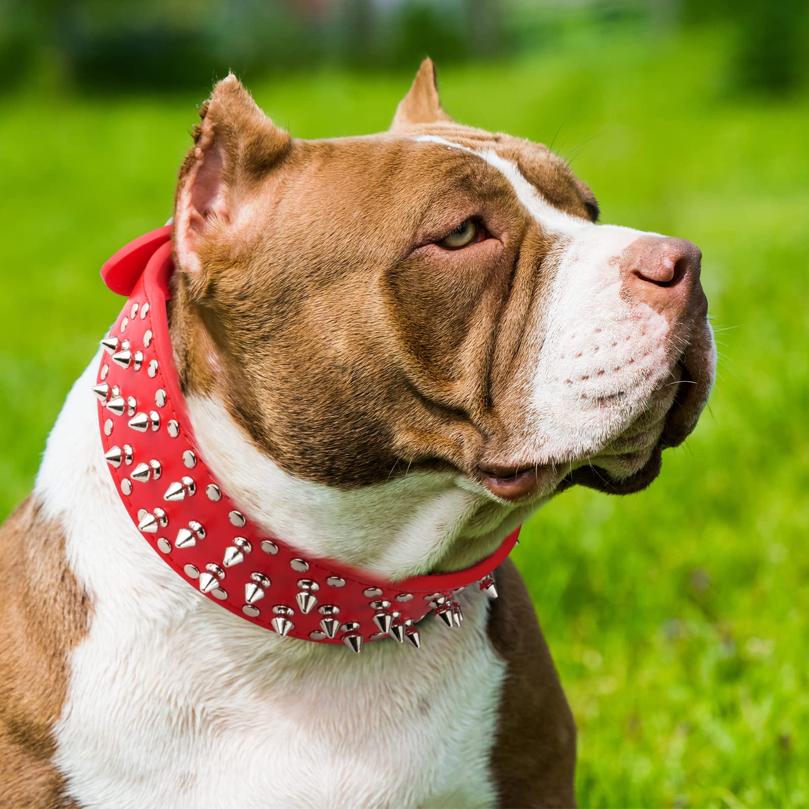 Collar rojo Epesiri con tachuelas, ideal como regalo para mascotas