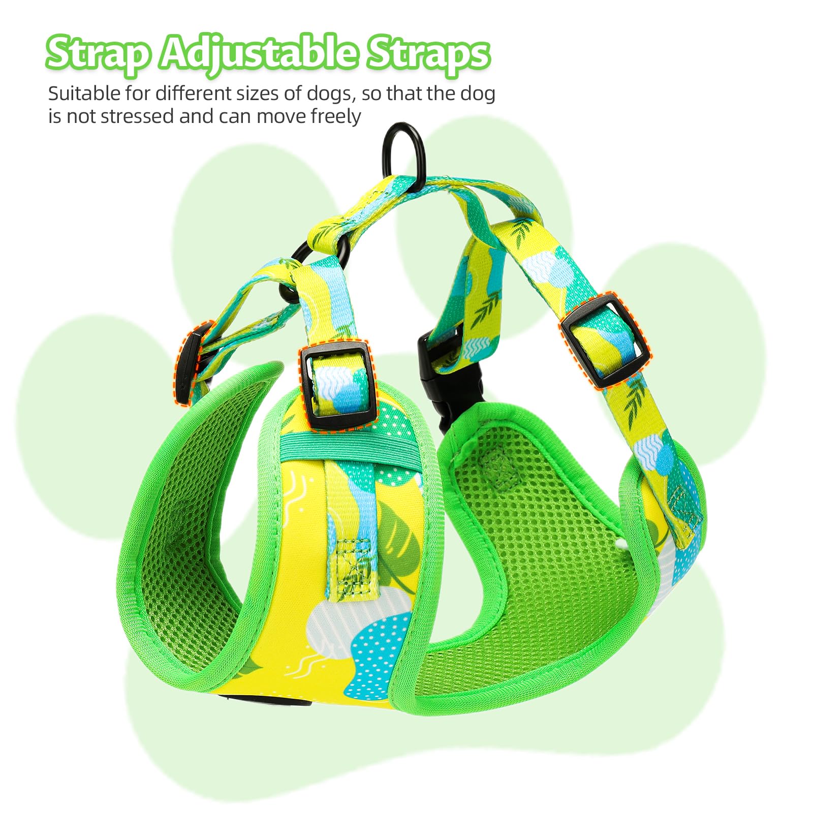 EPETKO kit de salida para perro, conjunto completo para paseos y viajes.