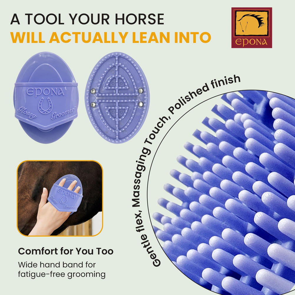 Epona agarre ergonómico: mango seguro que reduce la fatiga en cepillados largos