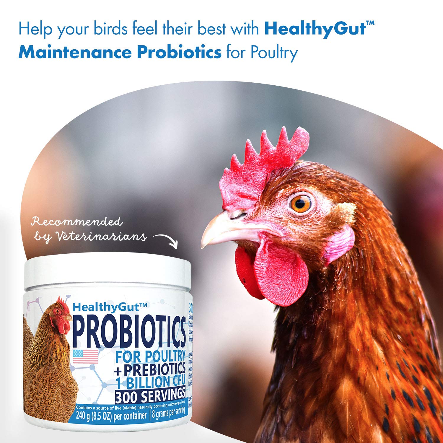 Equa Holistics HealthyGut Probiotics granja-avicola: favorece un entorno saludable para las aves.
