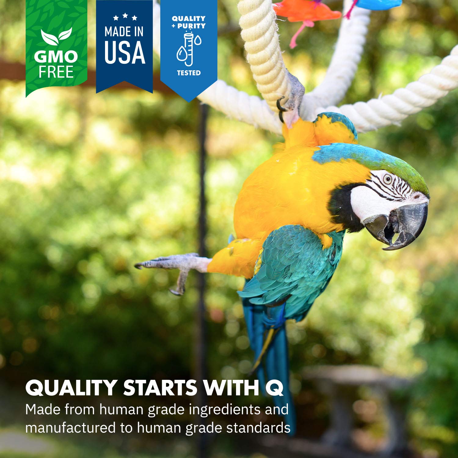 Equa Holistics HealthyGut: etiqueta de calidad, origen en Estados Unidos.