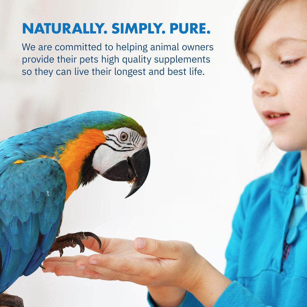 Equa Holistics HealthyGut: polvo sobre comida para favorecer la digestión.