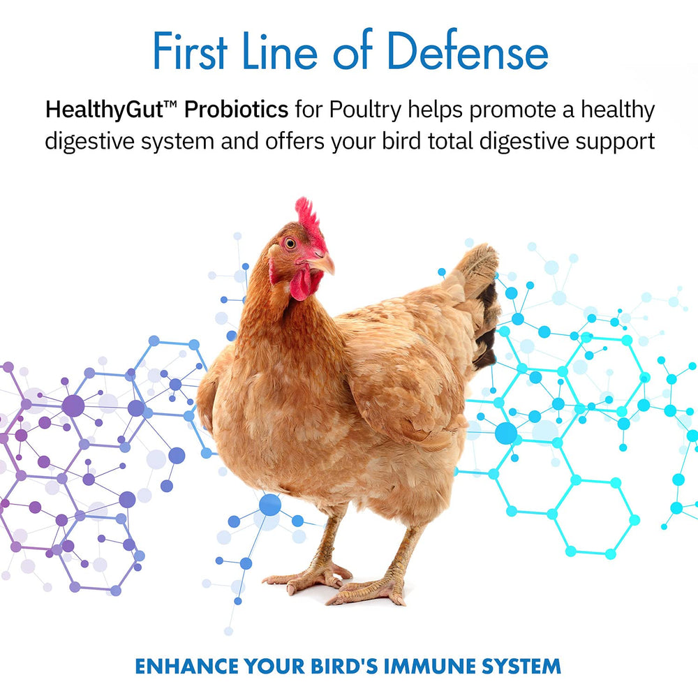 HealthyGut cucharita medidora para aves, dosis diaria sencilla
