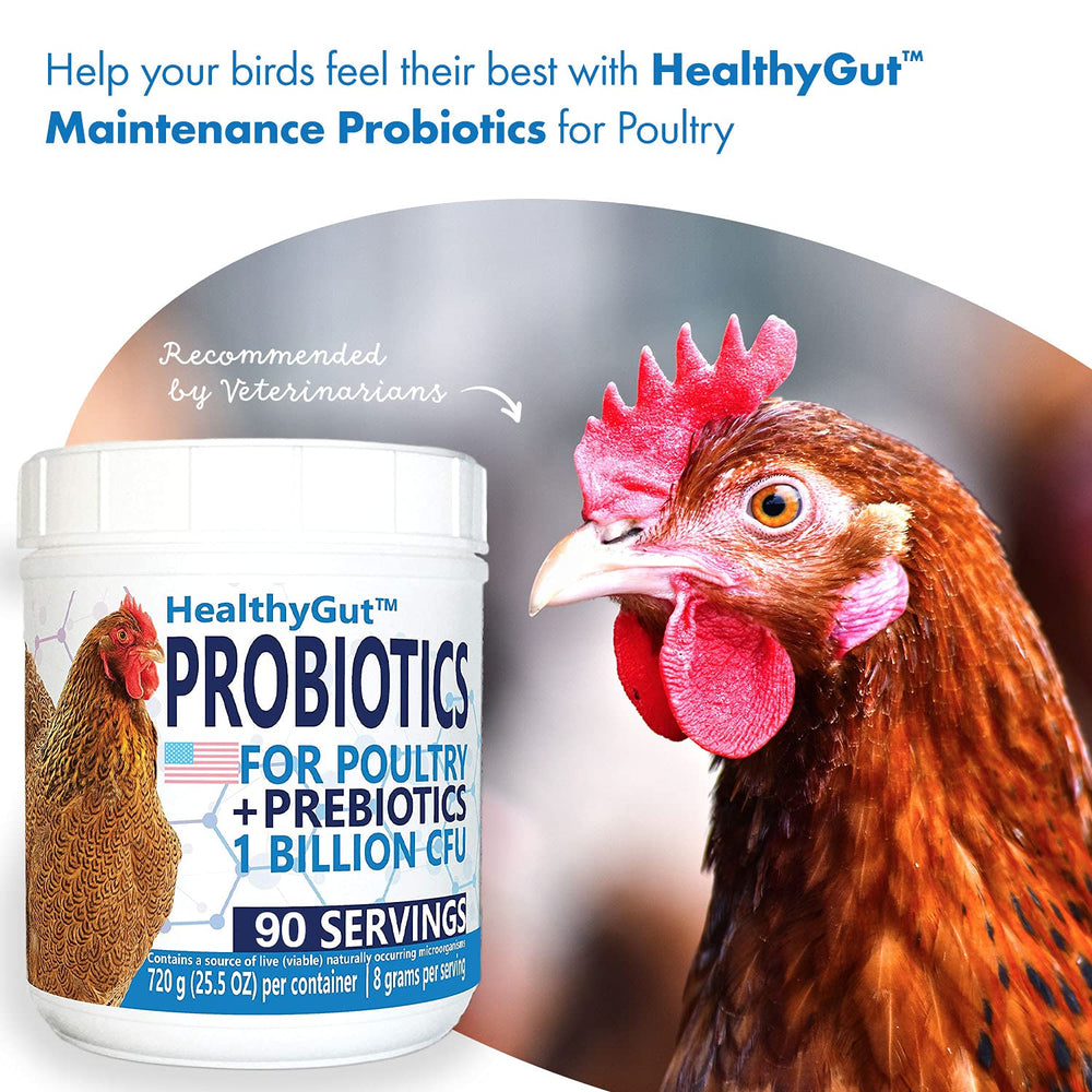 Espolvorear HealthyGut sobre alimento para aves, probióticos y prebióticos