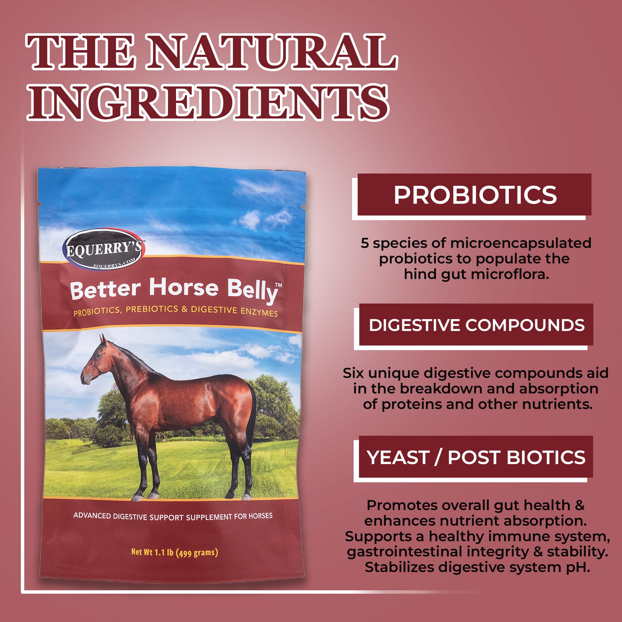 Equerry's Better Horse Belly: caballo comiendo la ración con suplemento