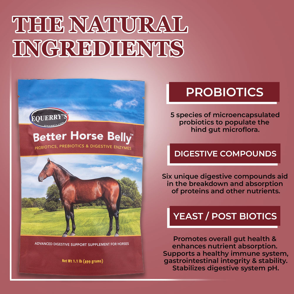 Equerry's Better Horse Belly: caballo comiendo la ración con suplemento