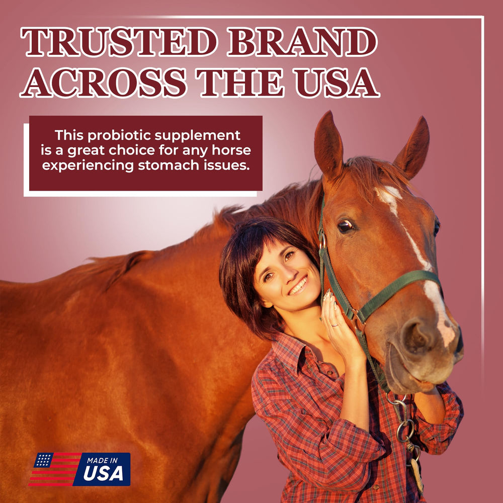 Equerry's Better Horse Belly: caballo en competición con apoyo digestivo