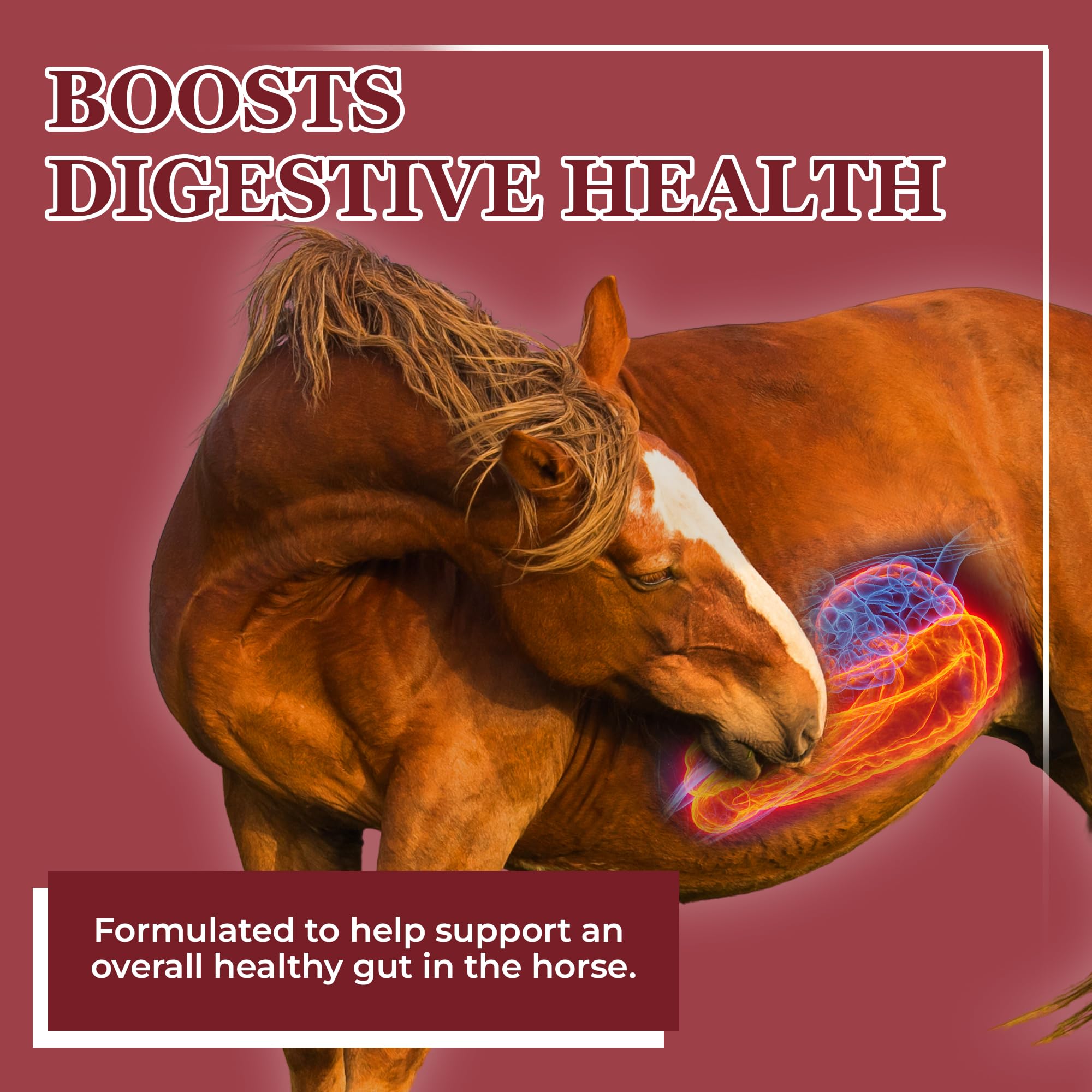 Equerry's Better Horse Belly: medidor listo para dosis de dos onzas por 1000 lb