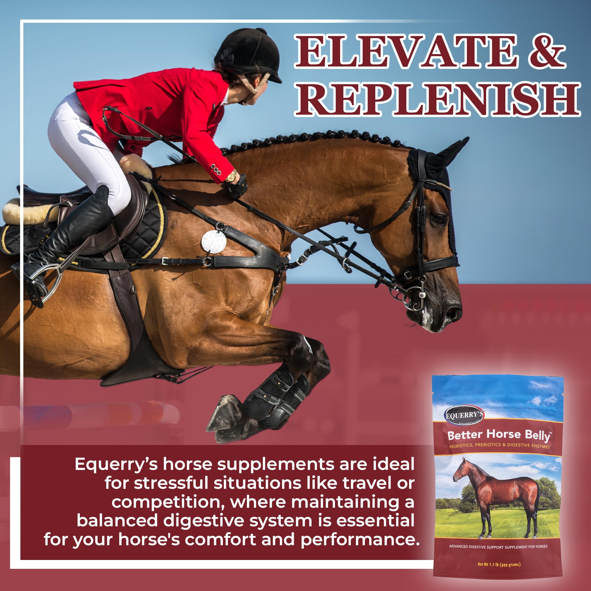 Equerry's Better Horse Belly: muestra de polvo para equilibrar la microbiota intestinal