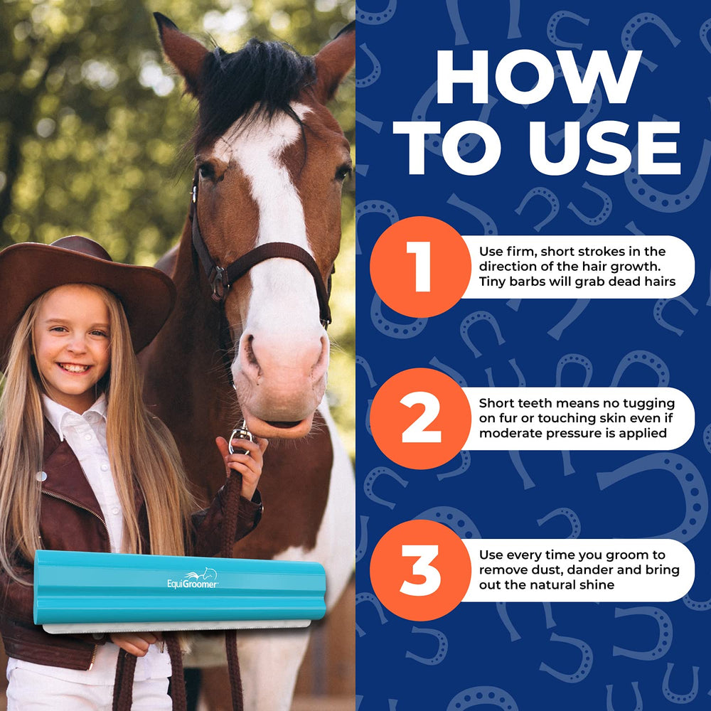 EquiGroomer: diseño resistente para grooming diario y sesiones largas.