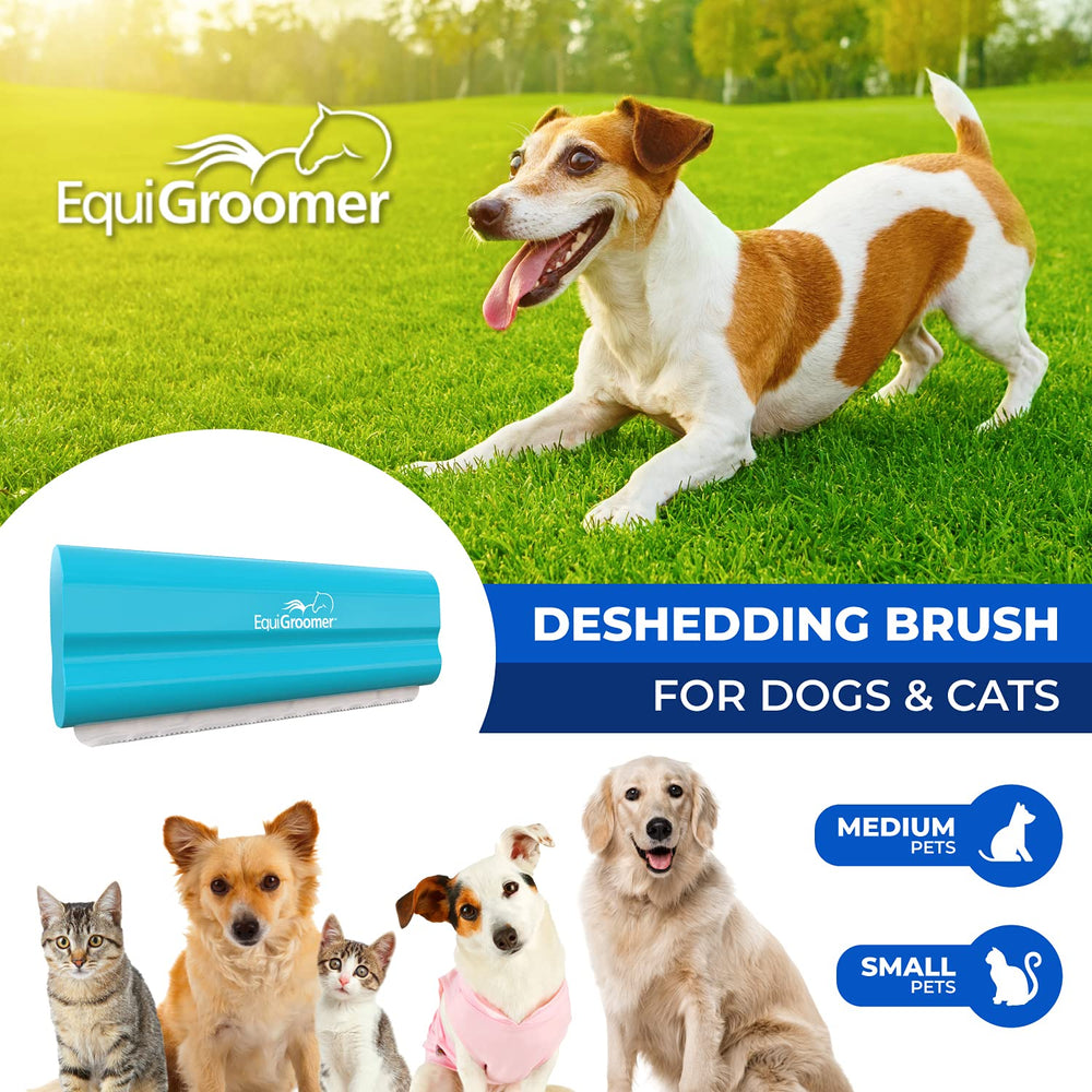 EasyGroomer EquiGroomer para gato en uso controla la muda.