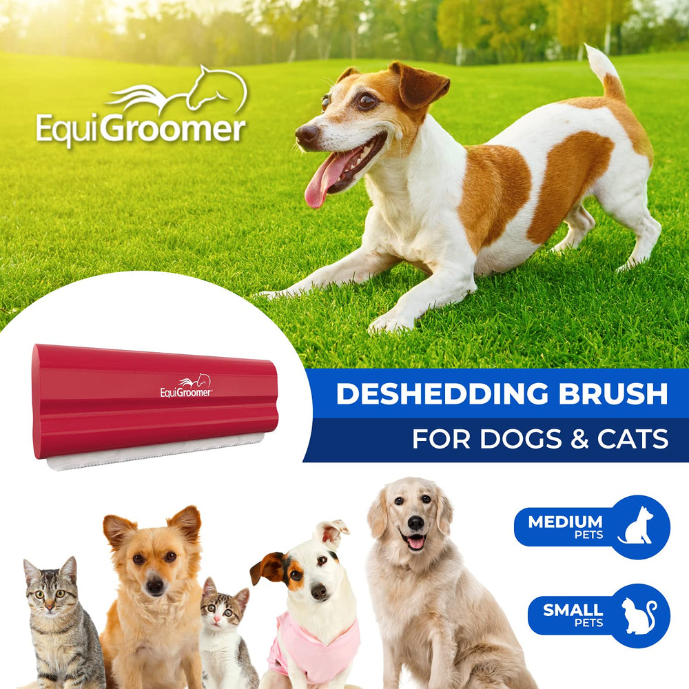 EquiGroomer EasyGroomer elimina pelos y suciedad, ideal para pelo corto y largo