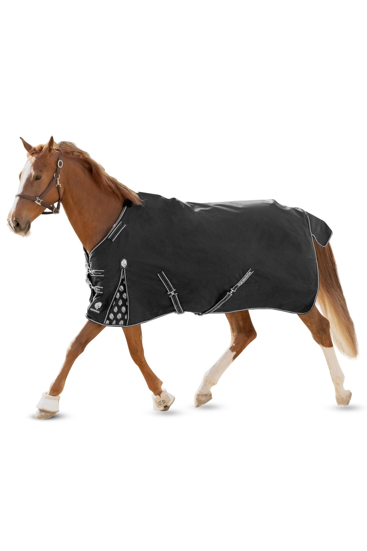 Equinavia Norse No Fill cobertor de lluvia para caballo, protección ligera en el recinto.