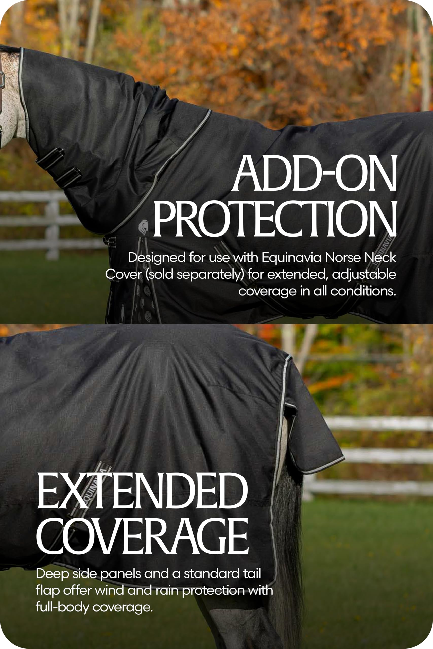 Equinavia Norse No Fill, fijaciones ajustables y hebillas seguras para un ajuste estable.