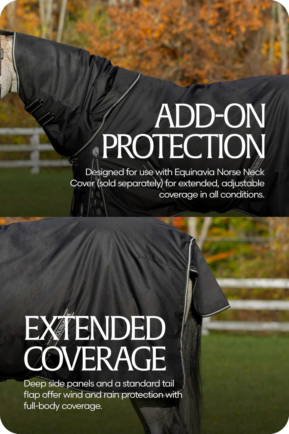 Equinavia Norse No Fill, fijaciones ajustables y hebillas seguras para un ajuste estable.