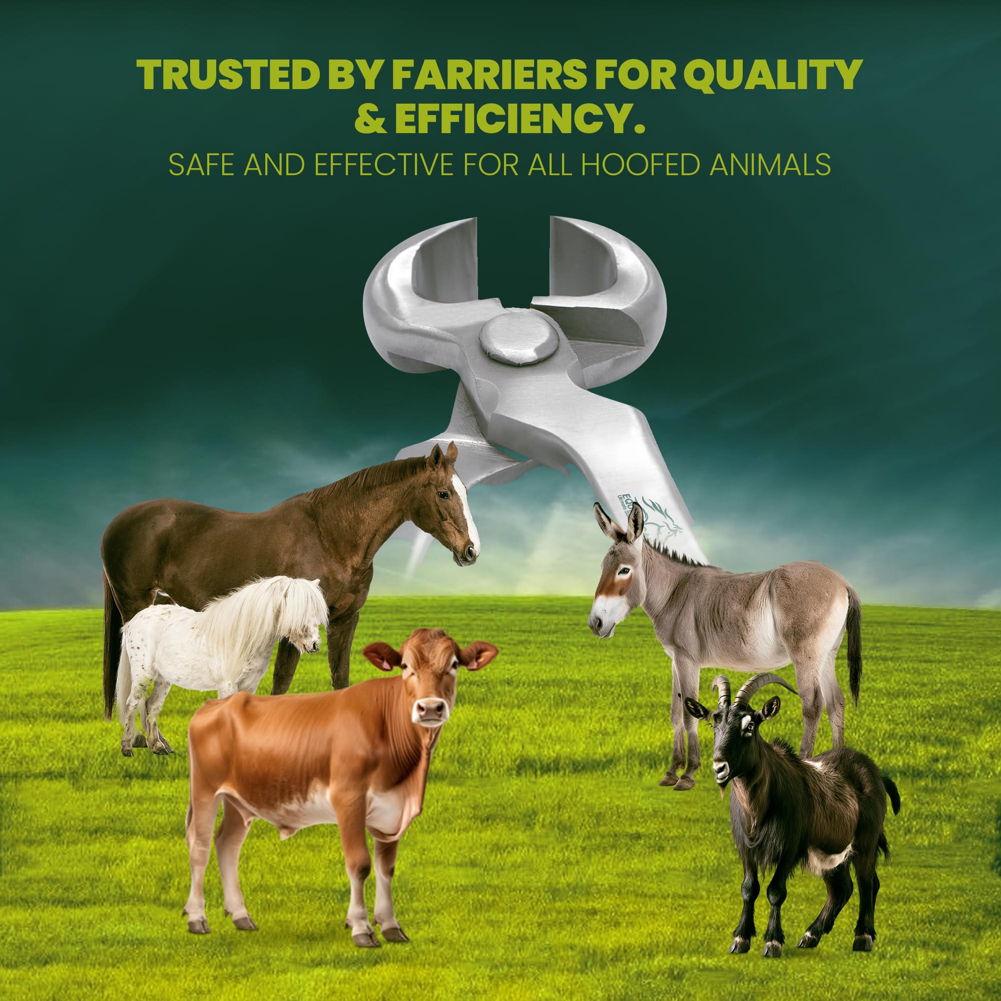 Equine Care cuchillas cromovanadio afiladas para cortes limpios y precisos.