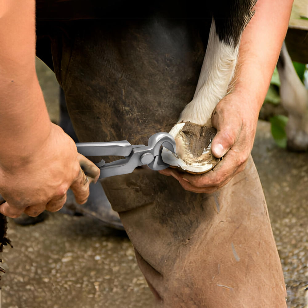 Equine Care diseñado para ganado pequeño y cabras, cortes precisos en rincones.