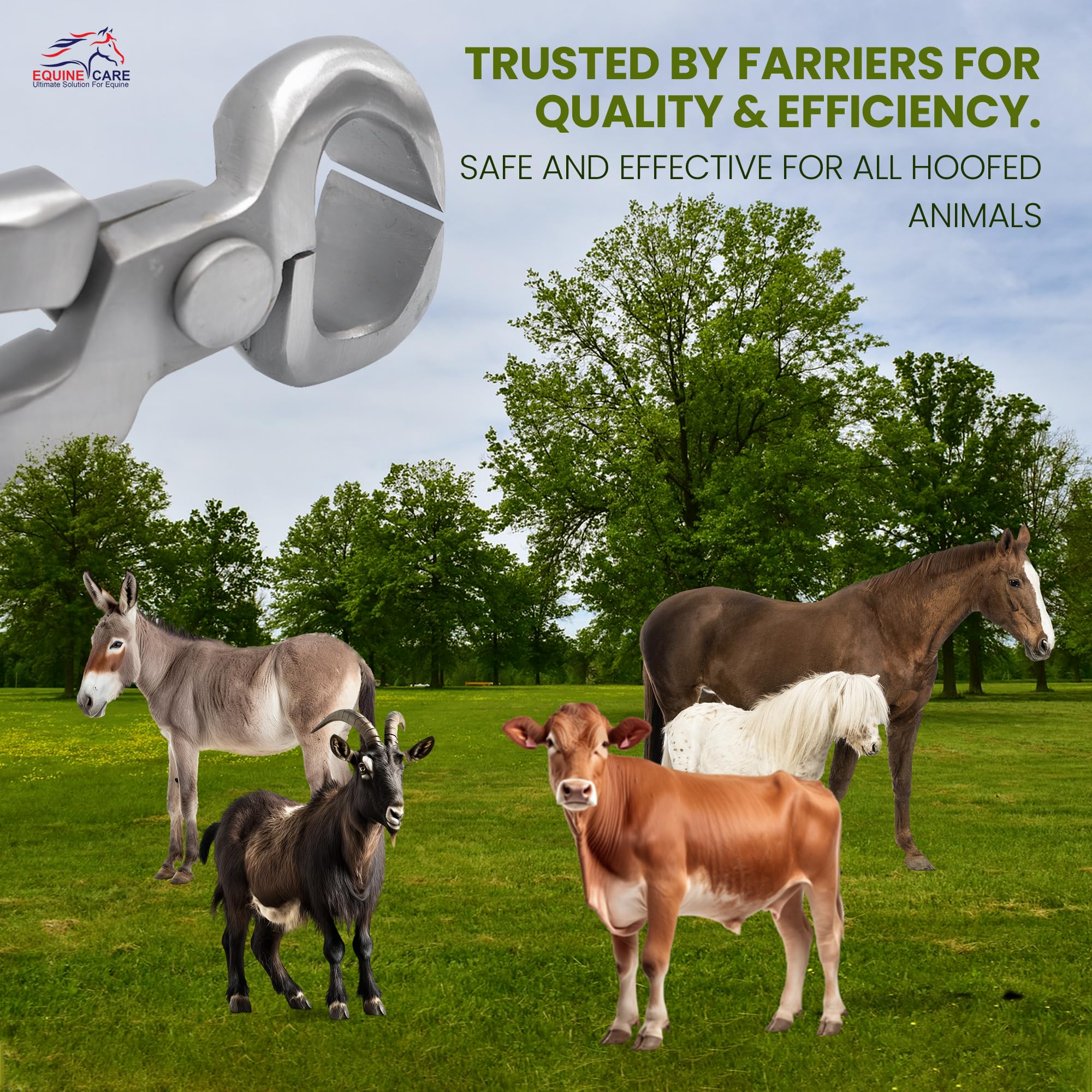 Equine Care estuche incluido para almacenamiento y transporte seguro.