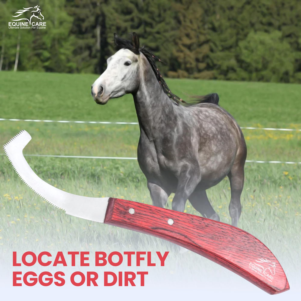 Herramienta ligera y compacta de Equine Care para viajar.