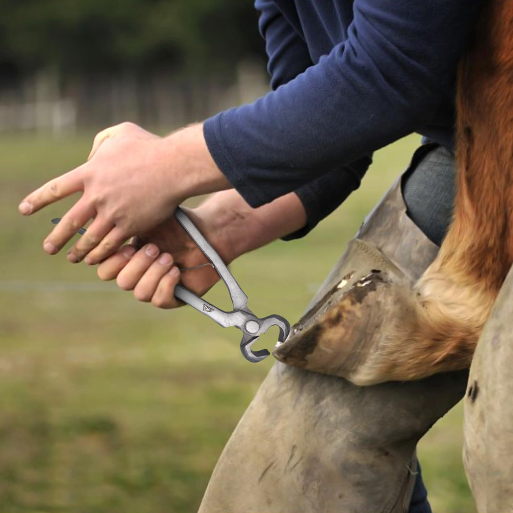 Equine Care mango ergonómico antideslizante para uso cómodo durante sesiones largas.