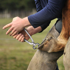 Equine Care mango ergonómico antideslizante para uso cómodo durante sesiones largas.