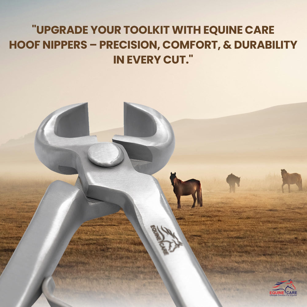 Equine Care compatible con potros y ponis, ideal para espacios reducidos.