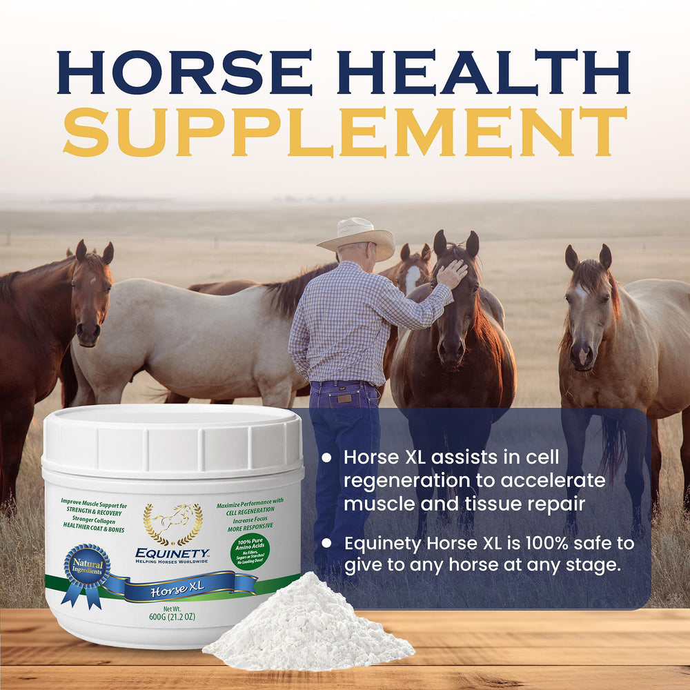 Equinety Horse XL, ingredientes de aminoácidos para soporte muscular y reparación.