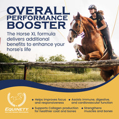 Equinety Horse XL, cuchara medidora para dosis diaria fácil y precisa.