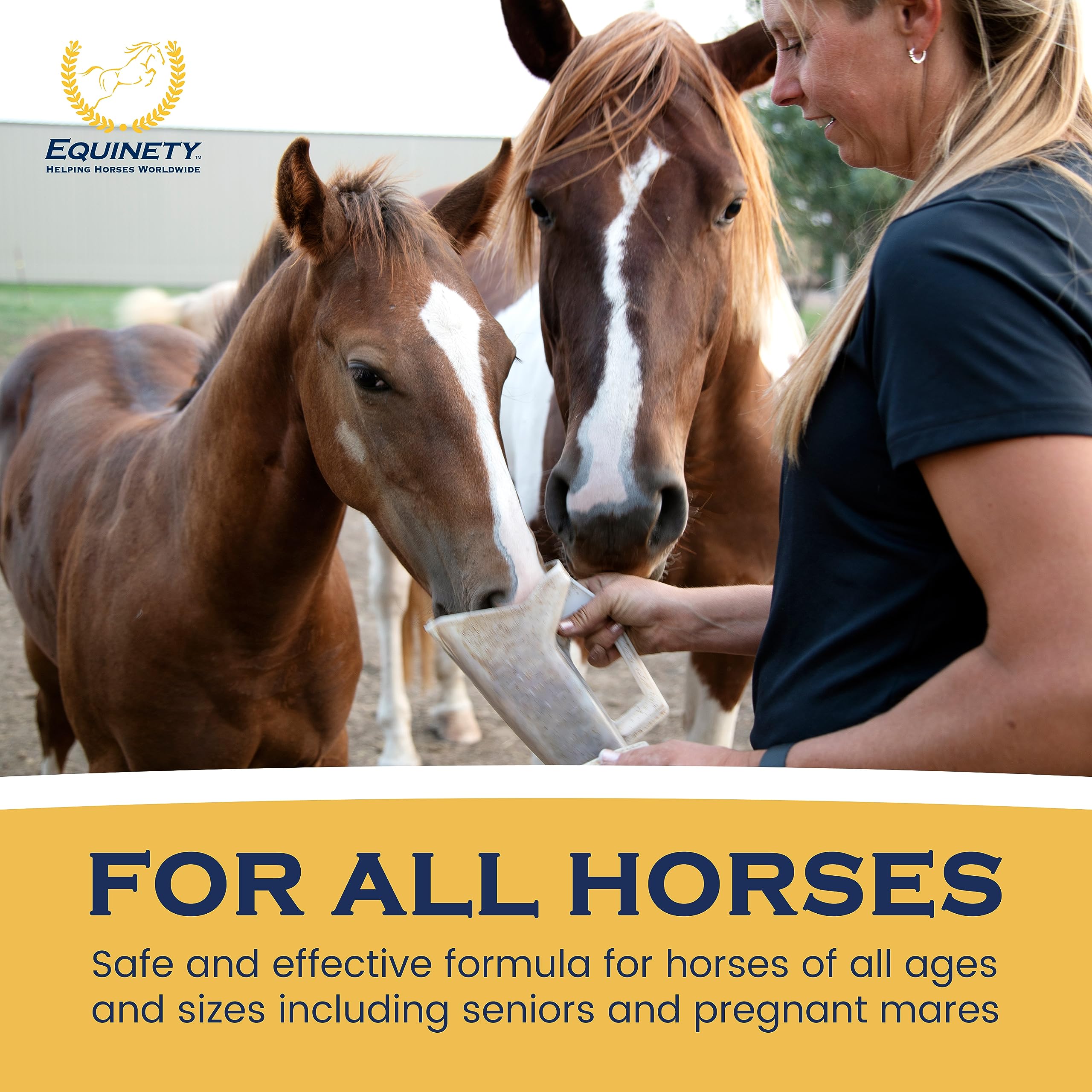 Equinety Horse XL, fórmula sin soja ni azúcar para elección segura.