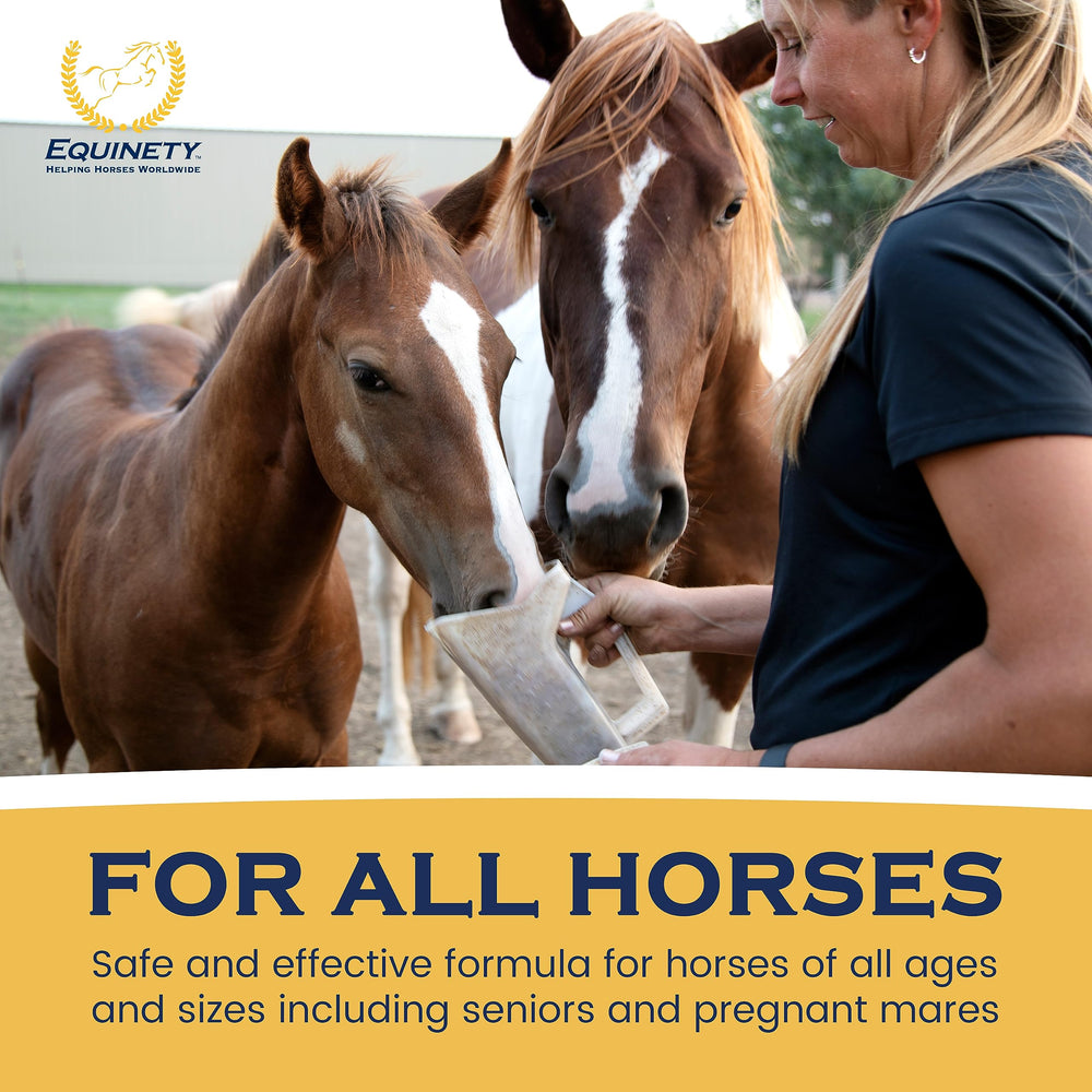 Equinety Horse XL, fórmula sin soja ni azúcar para elección segura.