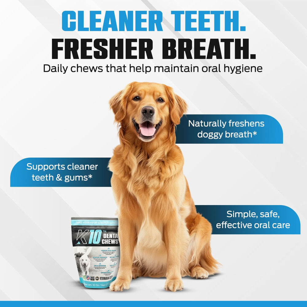 Equinety K10 Dental Chews, probióticos, posible apoyo a digestión y vitalidad diaria.