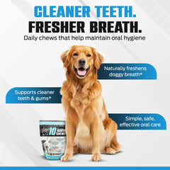 Equinety K10 Dental Chews, probióticos, posible apoyo a digestión y vitalidad diaria.
