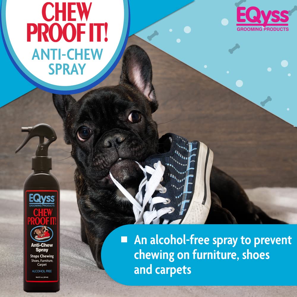 Eqyss Chew Proof It! uso interior/exterior para superficies sin manchar