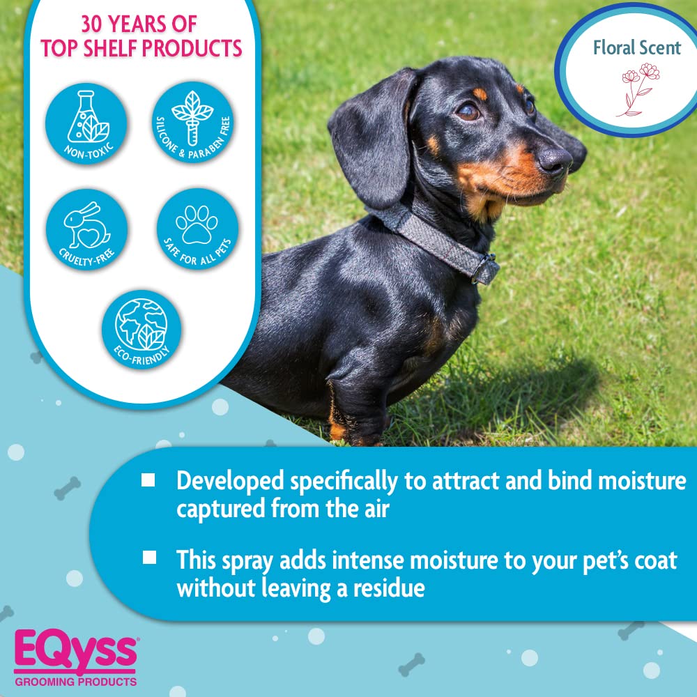 Eqyss Premier Pet Spray repele polvo y suciedad entre baños.