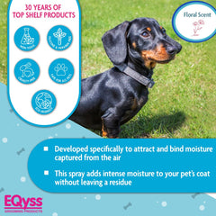 Eqyss Premier Pet Spray repele polvo y suciedad entre baños.