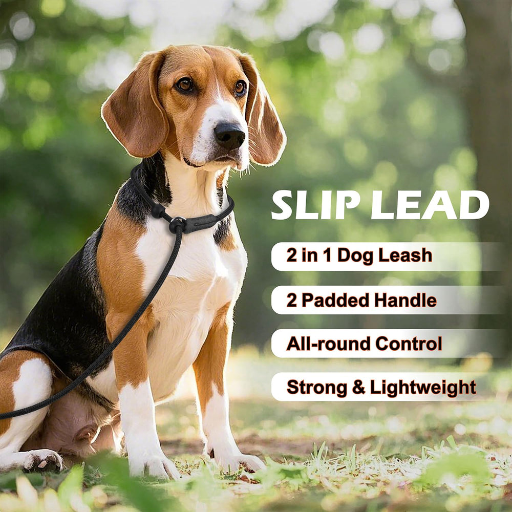 Erbine adecuada para perros pequeños y medianos, control cómodo
