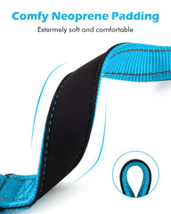 Collar Erbine de entrenamiento con cinta reflectante para mejor visibilidad.