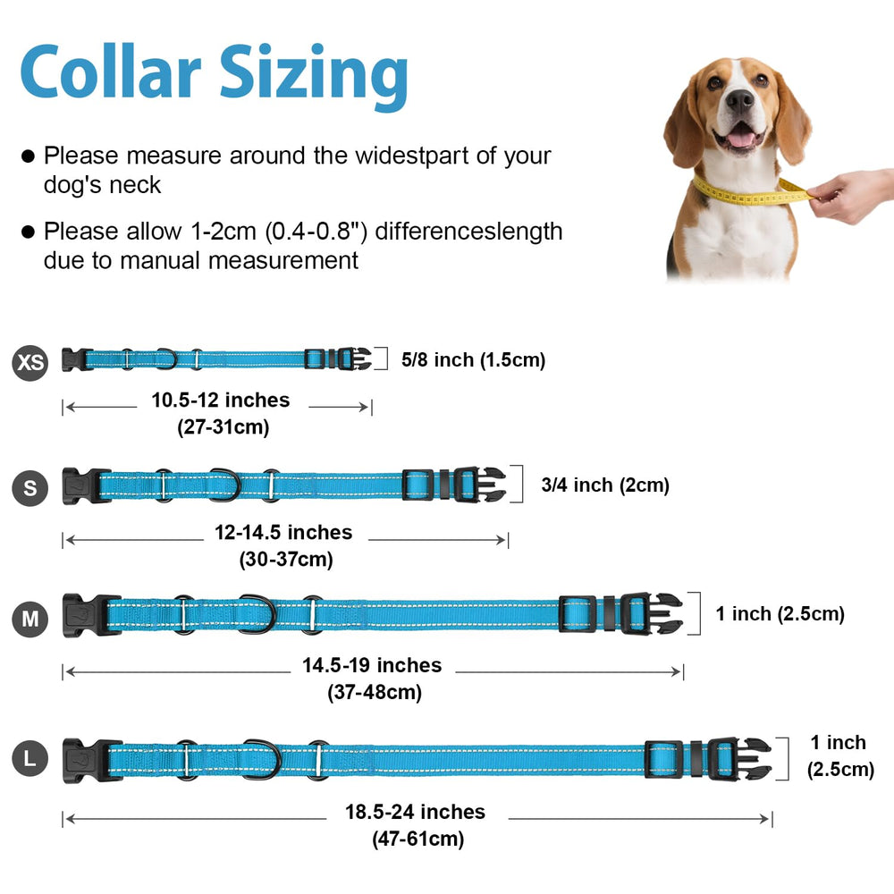 Collar Erbine facilita entrenamiento para reducir tirones.
