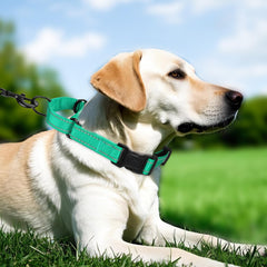 Erbine collar martingale acolchado de neopreno, confort suave para el pelaje.