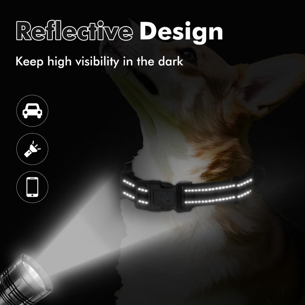 Erbine collar martingale con ajuste diario para perros de tamaño mediano