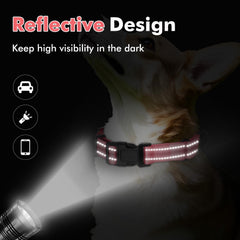 Erbine collar martingale ajuste preciso para un confort fiable