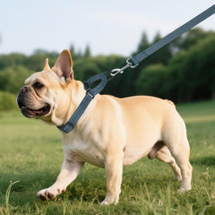 Ajuste seguro y cómodo del collar martingale Erbine durante caminatas