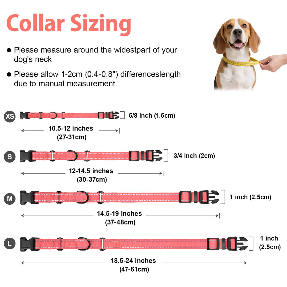 Erbine collar martingale confort neopreno suave para uso diario