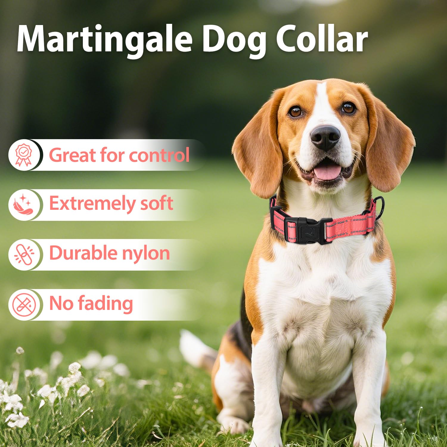 Erbine collar martingale entrenamiento diario, resistente y cómodo