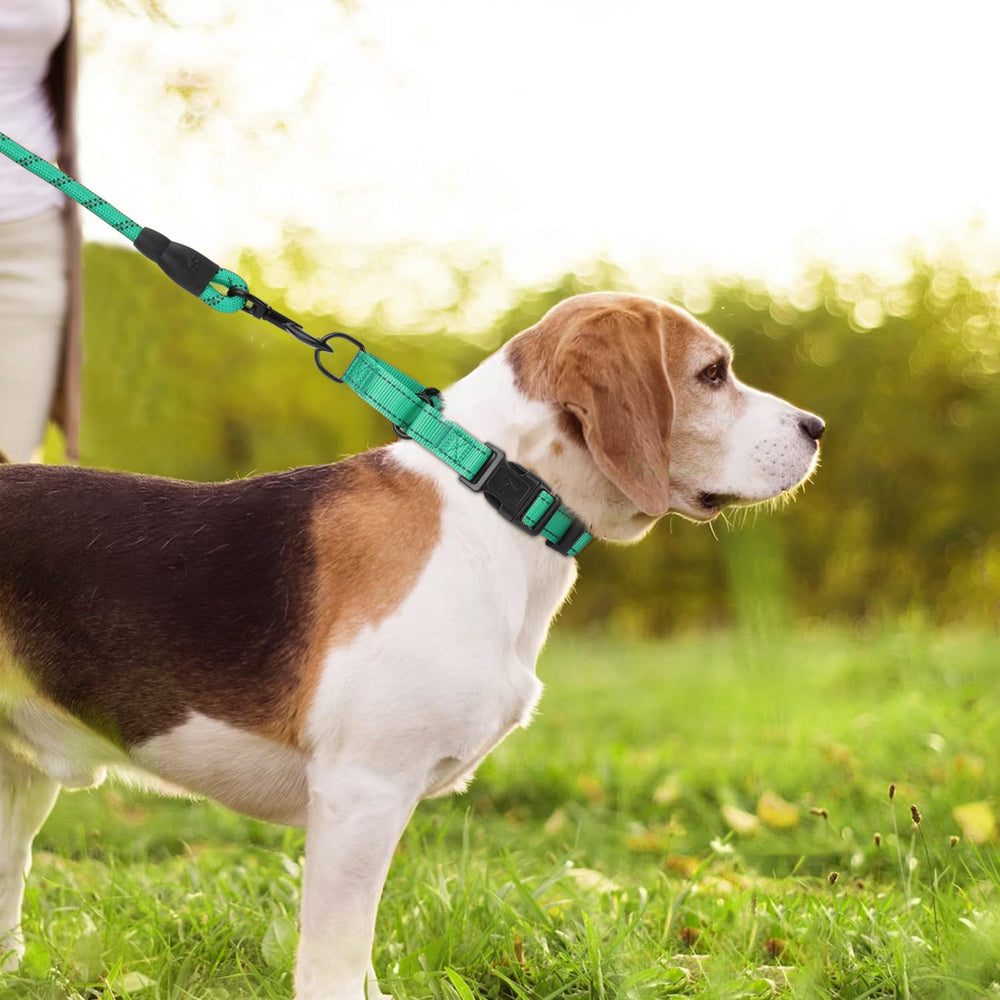 Erbine collar martingale para entrenamiento, ayuda a corregir tirones con suavidad.