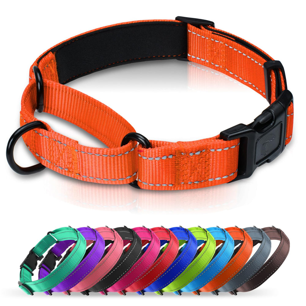 Erbine collar martingale con neopreno acolchado visto de frente para paseos cómodos